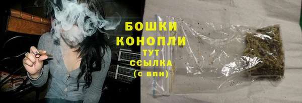 винт Богданович