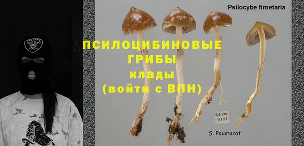 МДПВ Богородицк