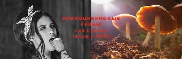 винт Богданович