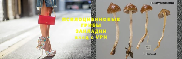 МДПВ Богородицк