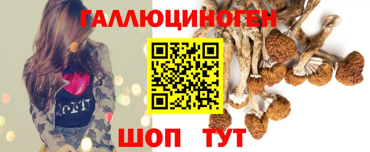 Вичуга  Галлюциногенные грибы Cubensis  закладки  Псилоцибиновые грибы Psilocybe  Вход с VPN 